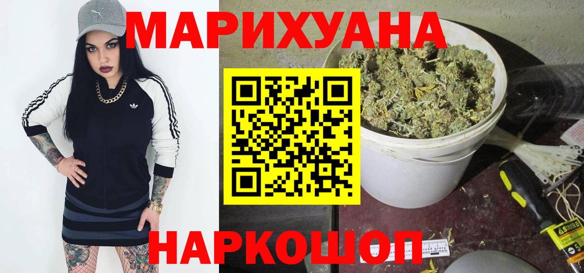 Бошки Шишки планчик  Конопля гибрид  Губаха  Вход с VPN  Каннабис планчик 
